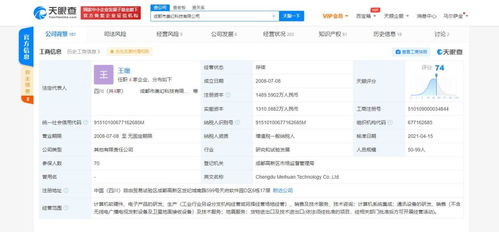 計(jì)算機(jī)軟硬件研發(fā)及銷售 科技創(chuàng)新的雙輪驅(qū)動(dòng)