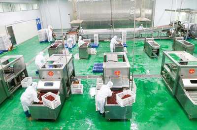 浙江名企“百草味”新疆工廠投產，助推新疆食品產業升級與區域協同發展